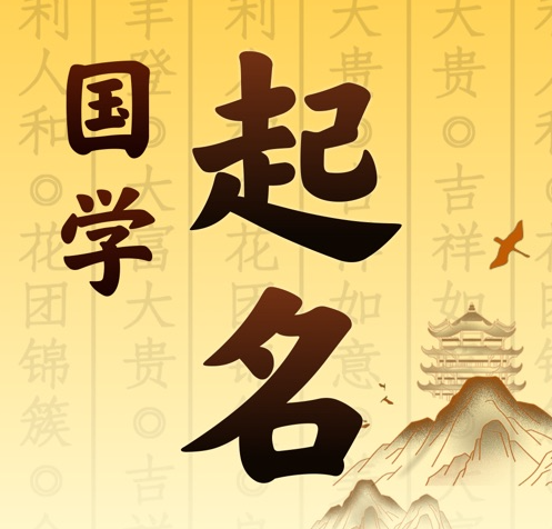 西乡国学起名 人工起名一对一